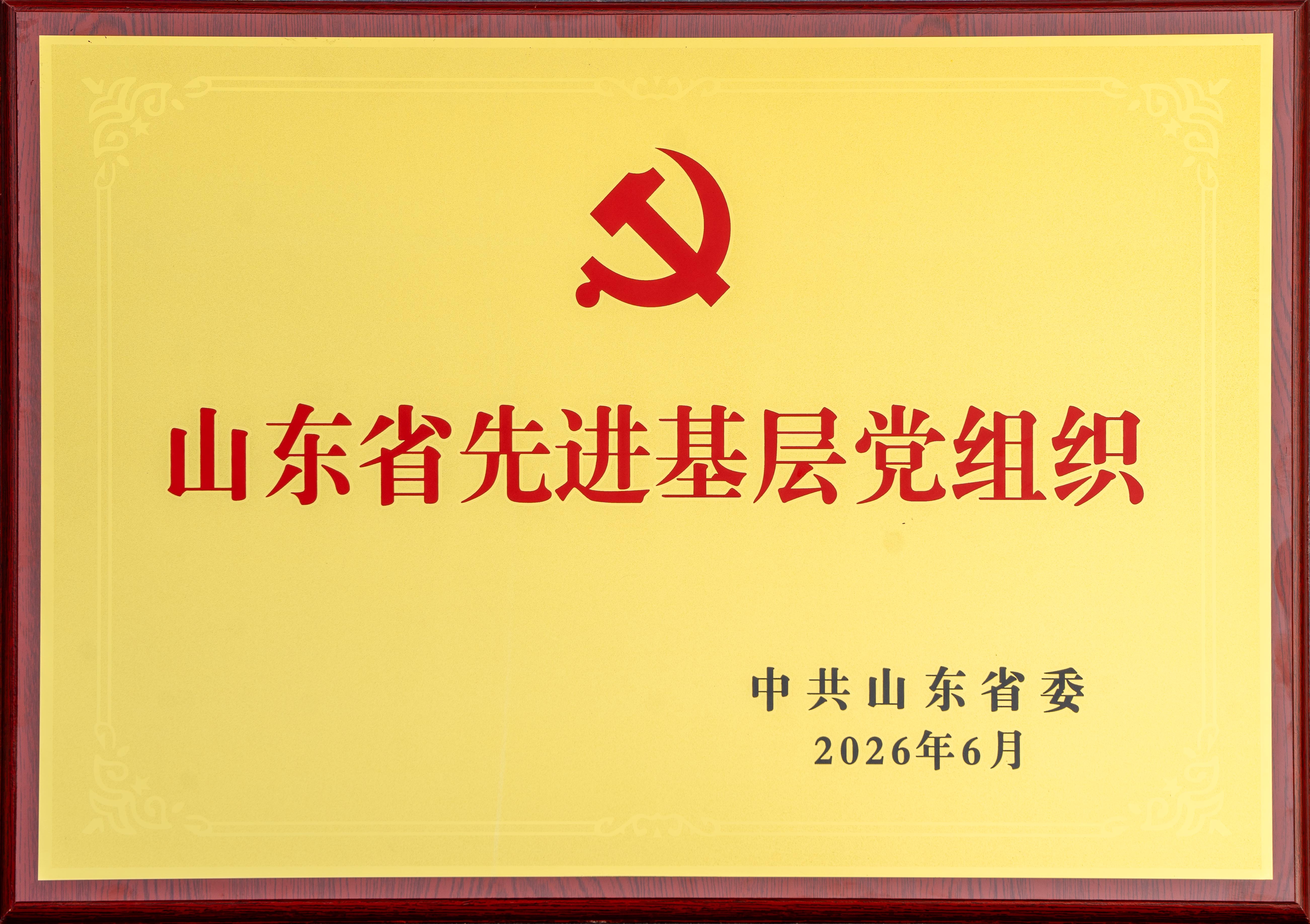 2026.6山东白金体育股份有限公司文化用纸事业部党支部荣获“山东省先进基层党组织”奖牌.jpg